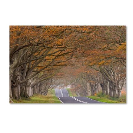 Trademark Fine Art Adam Burton 'Through the Tunnel' Canvas Art, 22x32 ALI7279-C2232GG